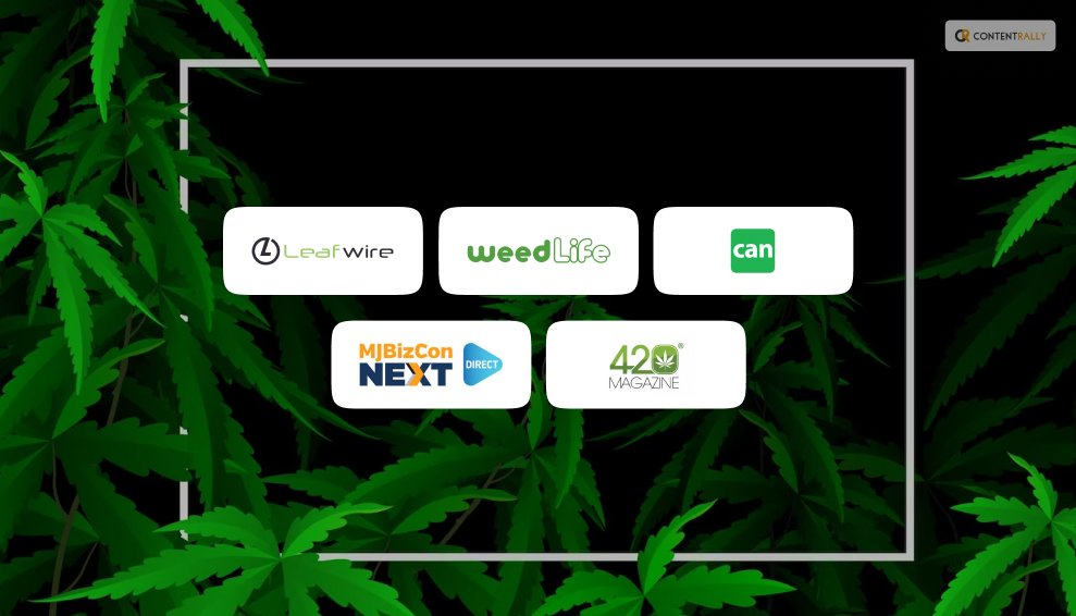 Benefits of Joining a Cannabis Business Social Network